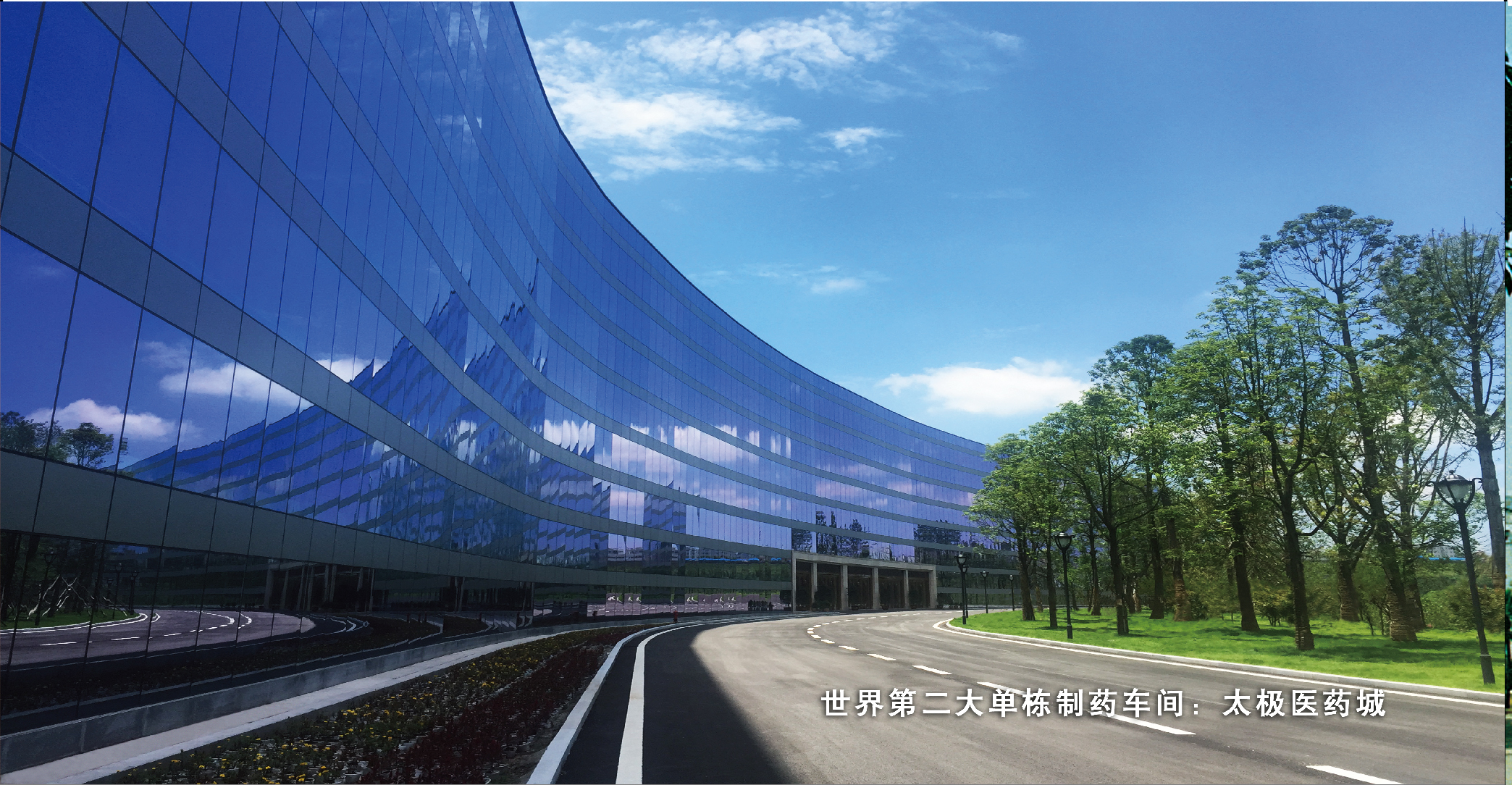太极集团有限公司（副会长单位）