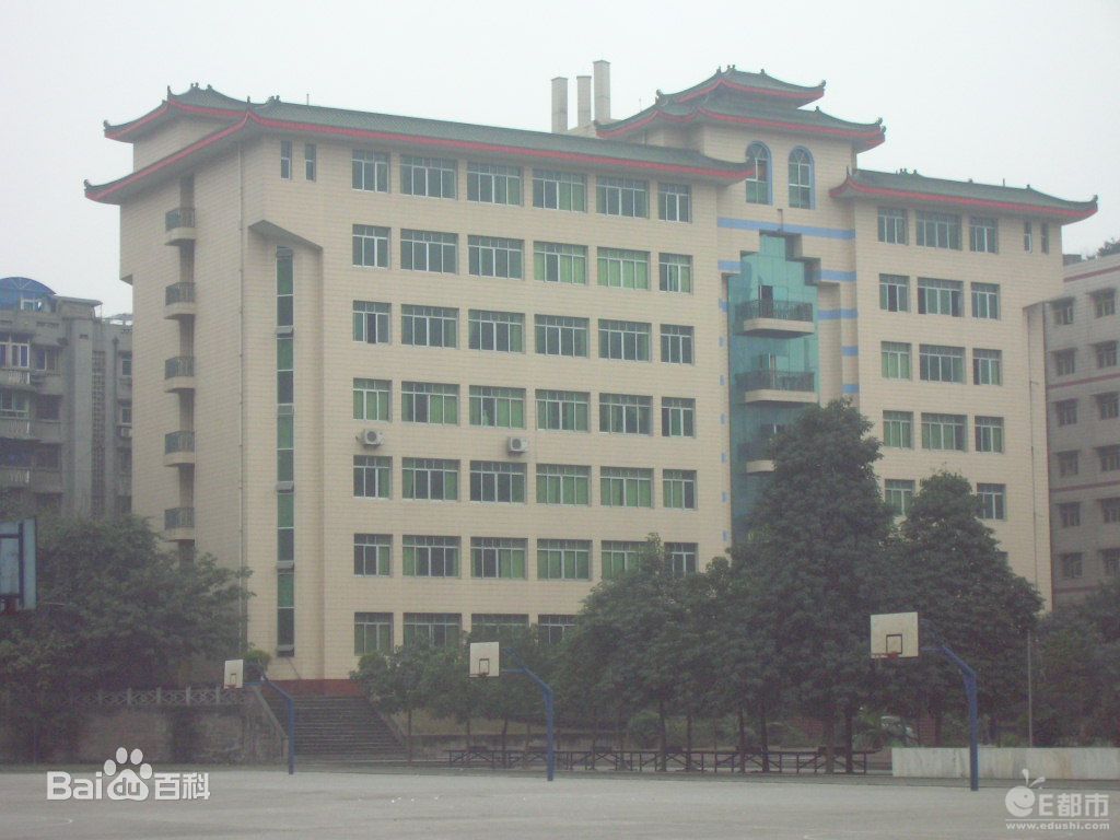重庆医科大学中医药学院（副会长单位）