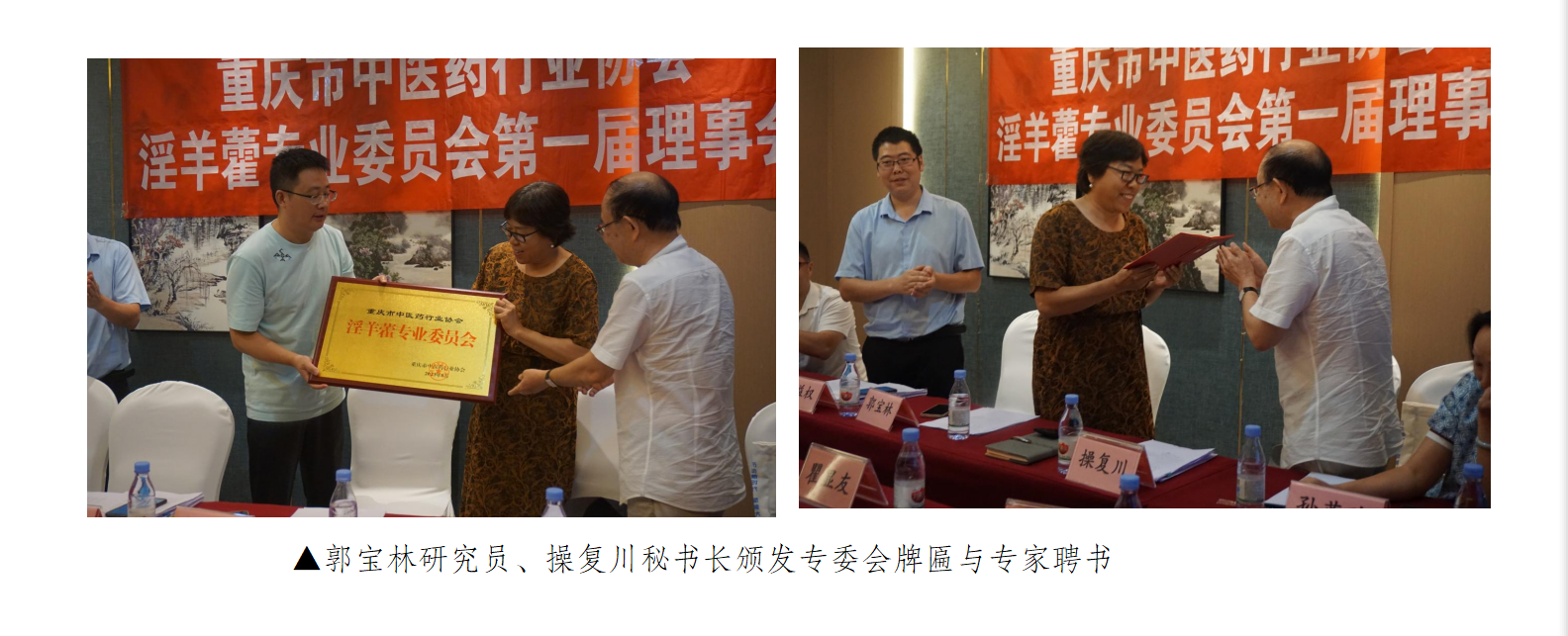 重庆市中医药行业协会淫羊藿专业委员会理事会单位名单